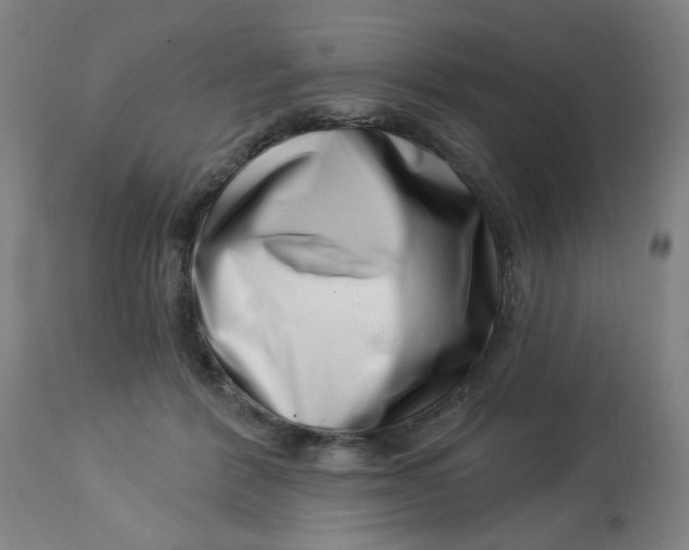 X0000113000412200909171411