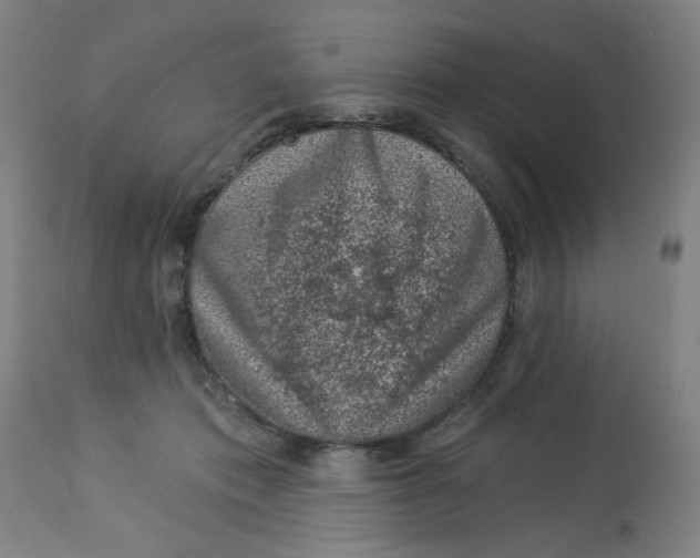 X0000113000413200909171411