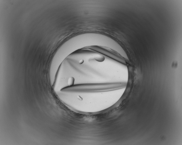 X0000113000415200909171411