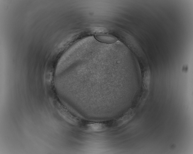 X0000113000417200909171411