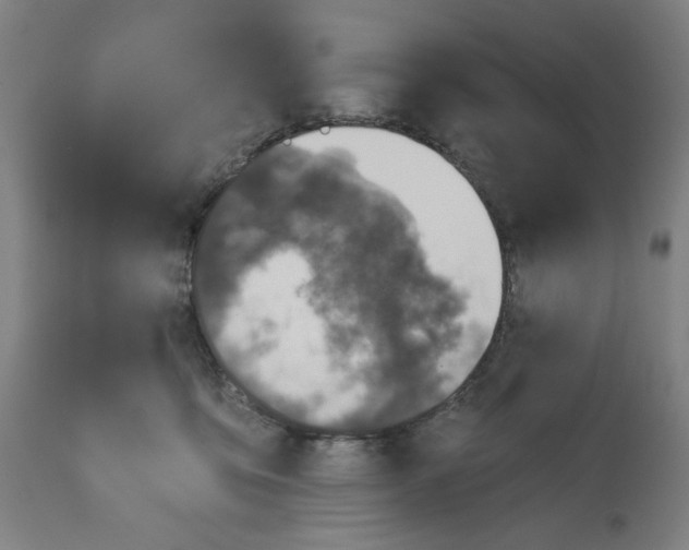 X0000113000419200909171411