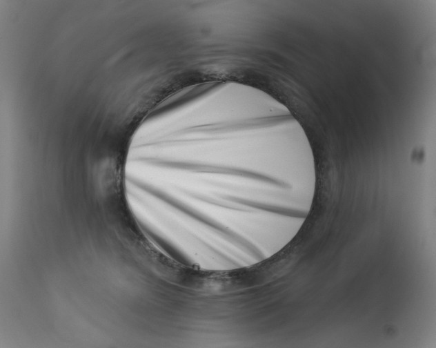 X0000113000420200909171411