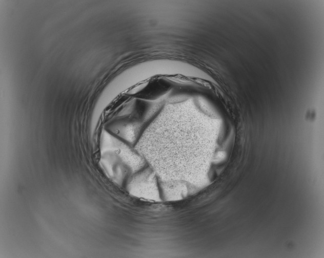 X0000113000421200909171411