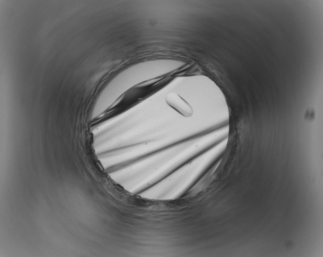 X0000113000423200909171411