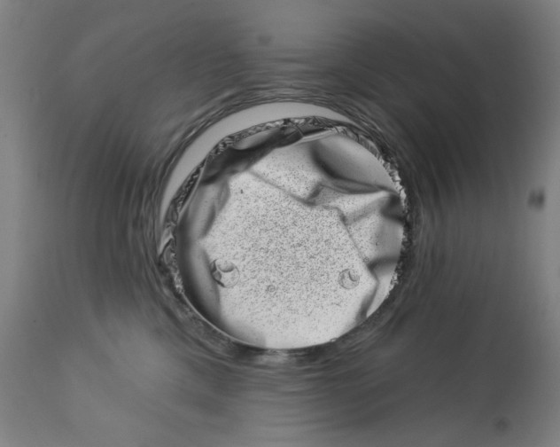 X0000113000425200909171411