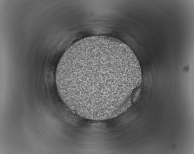 X0000113000426200909171411