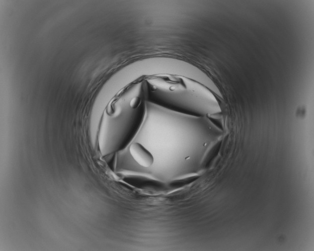 X0000113000427200909171411