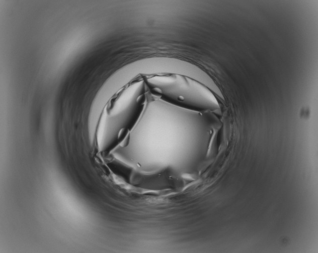 X0000113000429200909171410