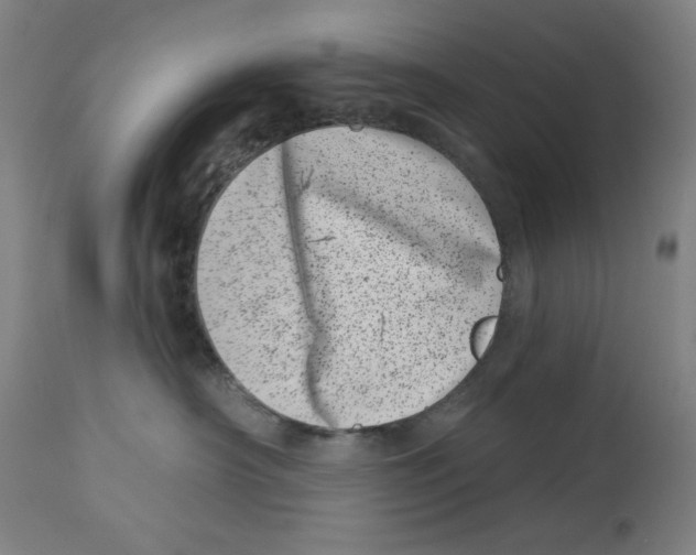 X0000113000430200909171410