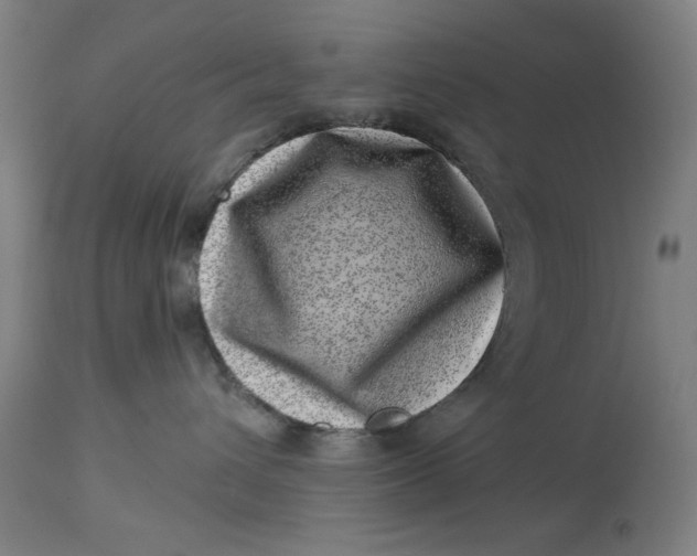 X0000113000432200909171410