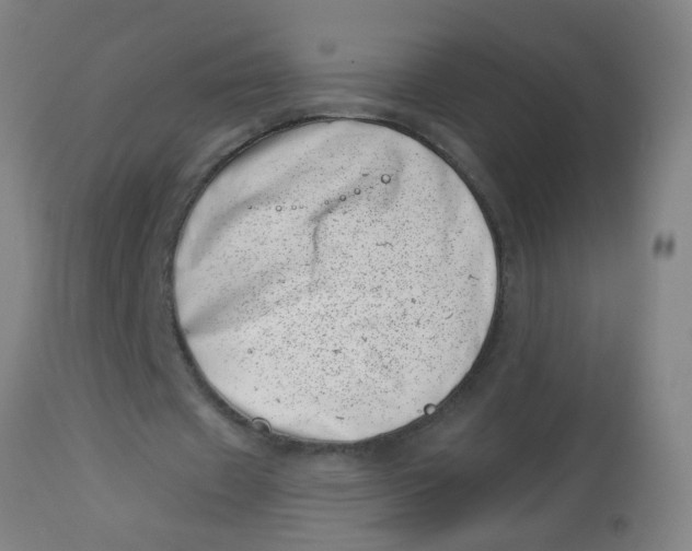 X0000113000433200909171410