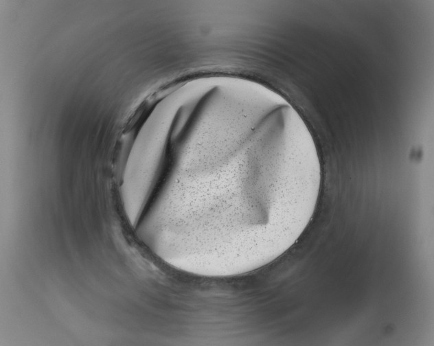 X0000113000434200909171410