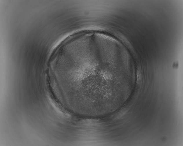 X0000113000436200909171410