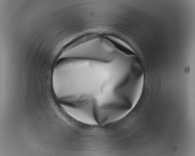 X0000113000437200909171410