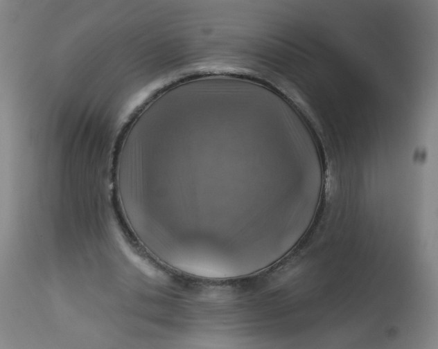 X0000113000438200909171410