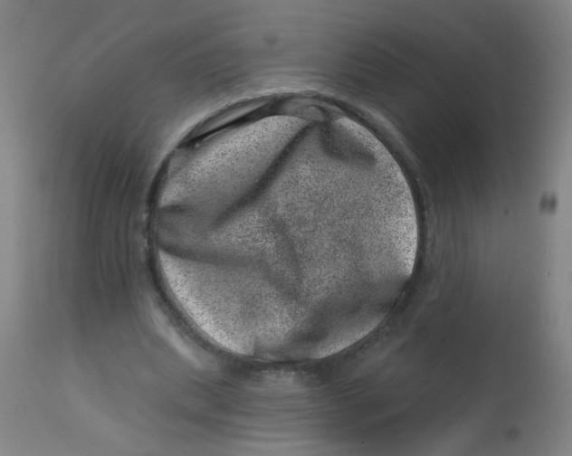 X0000113000439200909171410