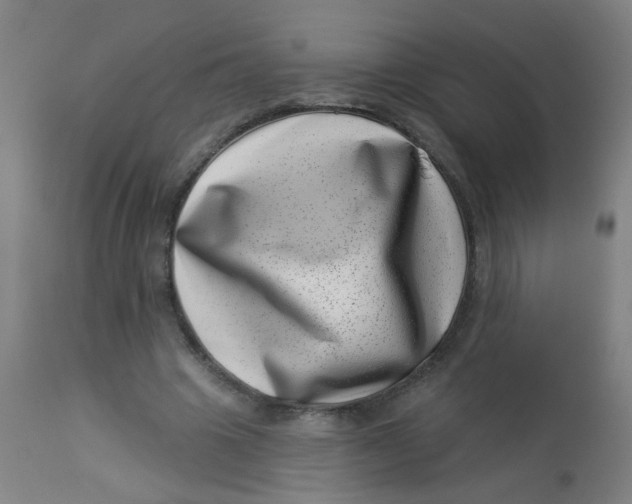 X0000113000441200909171410