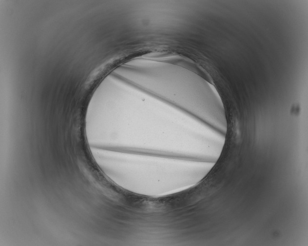 X0000113000442200909171410