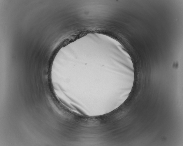 X0000113000443200909171410