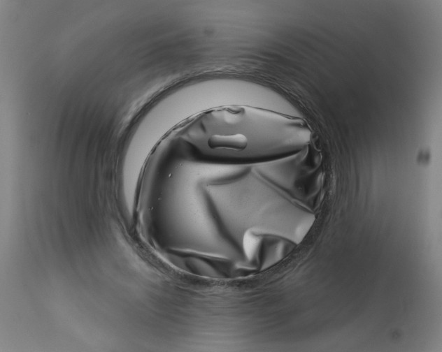 X0000113000444200909171410