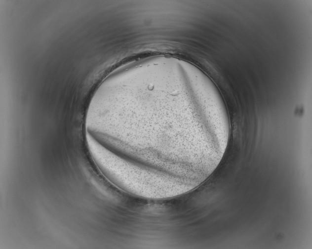 X0000113000445200909171410