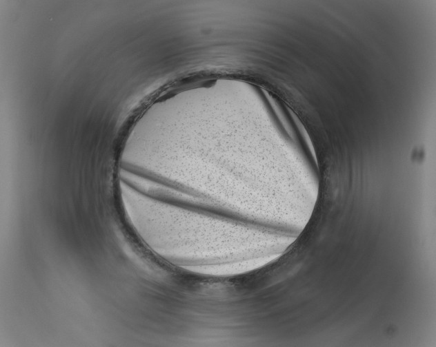 X0000113000446200909171410