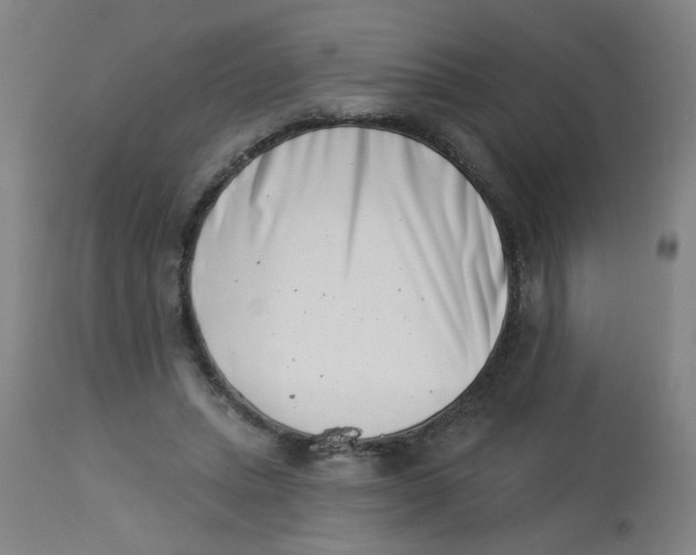 X0000113000447200909171410