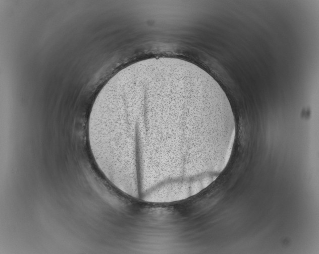 X0000113000449200909171410