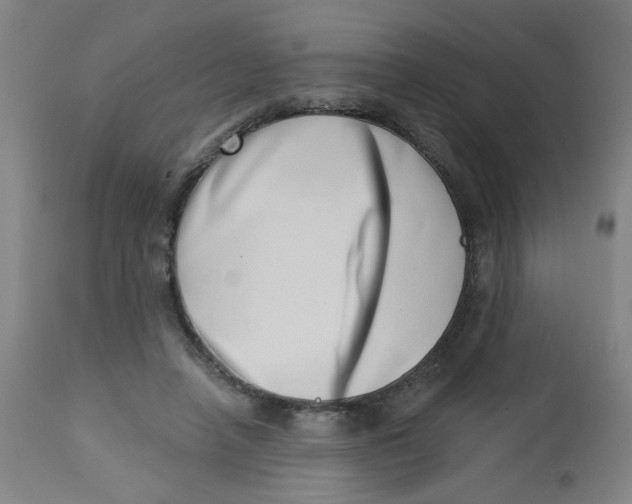 X0000113000450200909171410