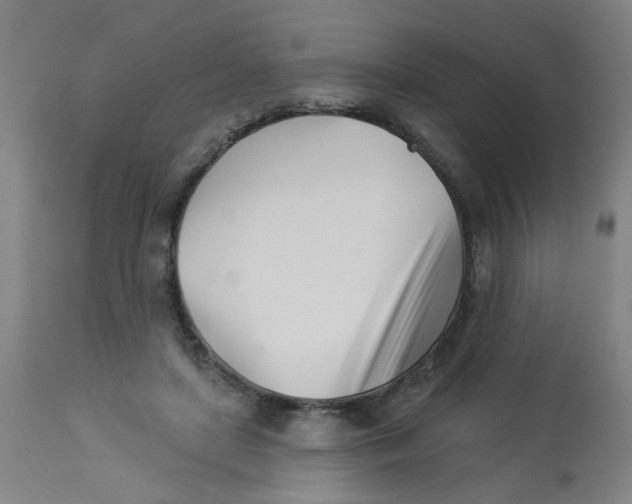 X0000113000451200909171410