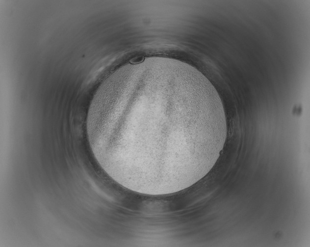 X0000113000452200909171410