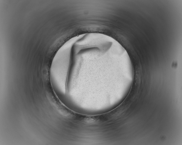 X0000113000453200909171410