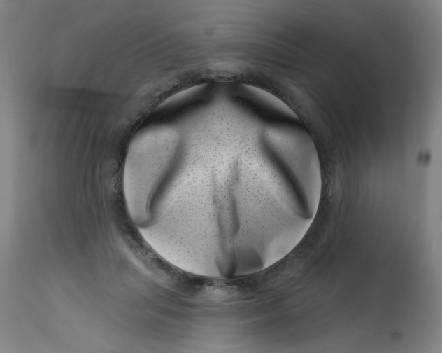 X0000113000455200909171410