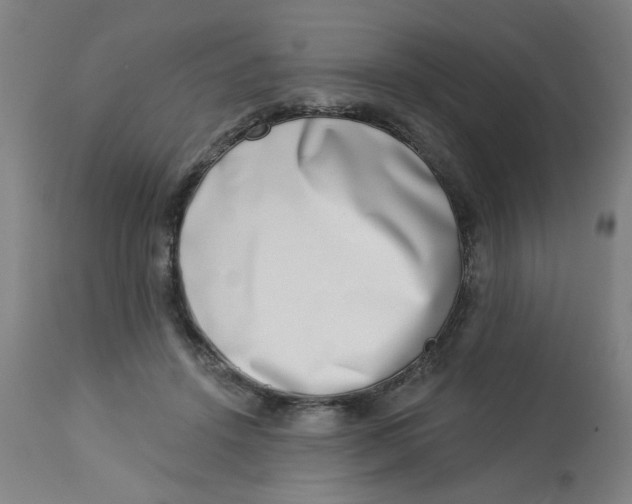 X0000113000456200909171410