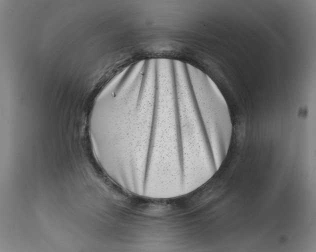 X0000113000458200909171410