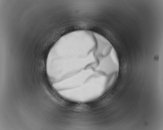 X0000113000459200909171410