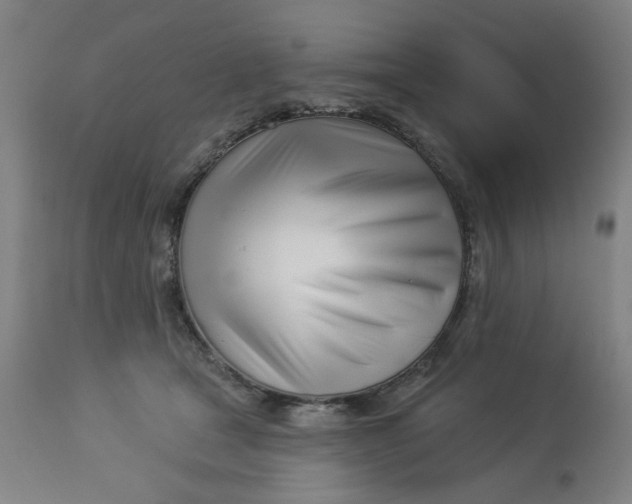 X0000113000465200909171410