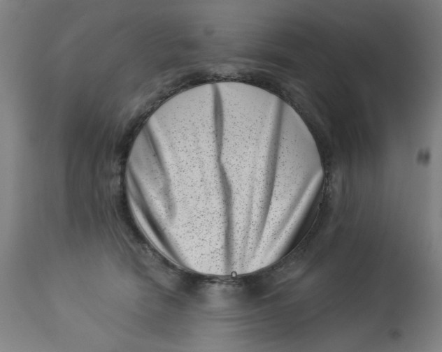 X0000113000466200909171410