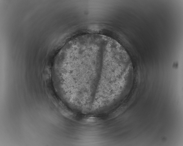 X0000113000467200909171410