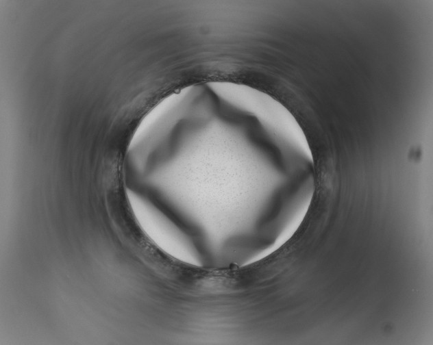 X0000113000468200909171410