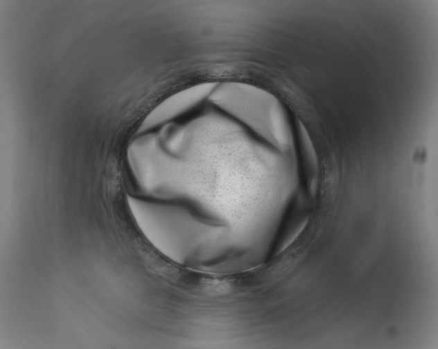 X0000113000469200909171410