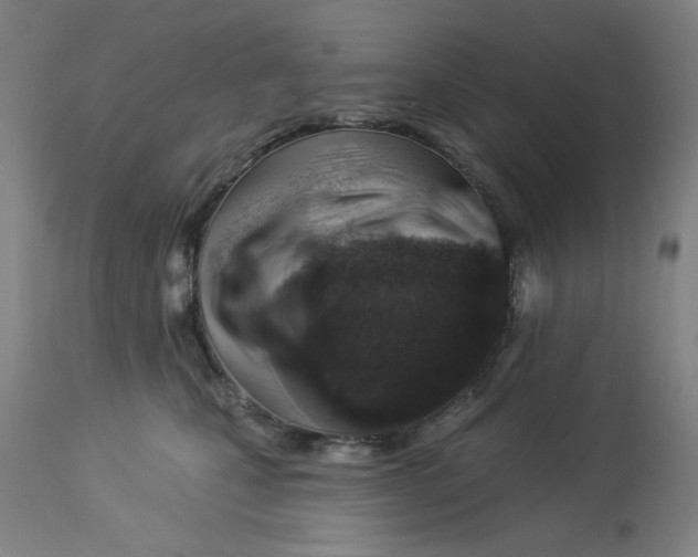 X0000113000471200909171410