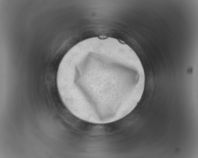 X0000113000473200909171410