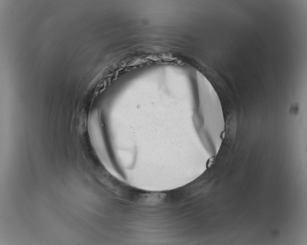 X0000113000474200909171410