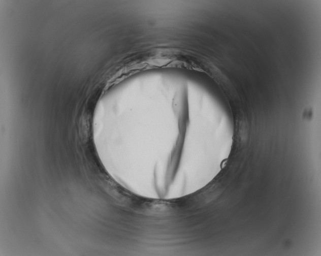 X0000113000475200909171410