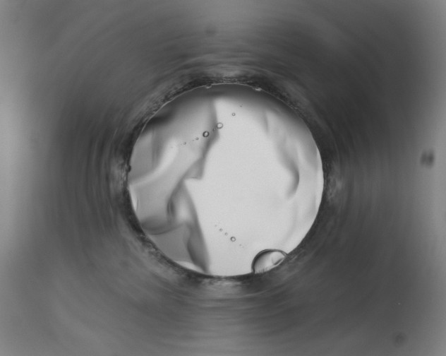 X0000113000476200909171410