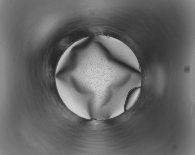 X0000113000477200909171410