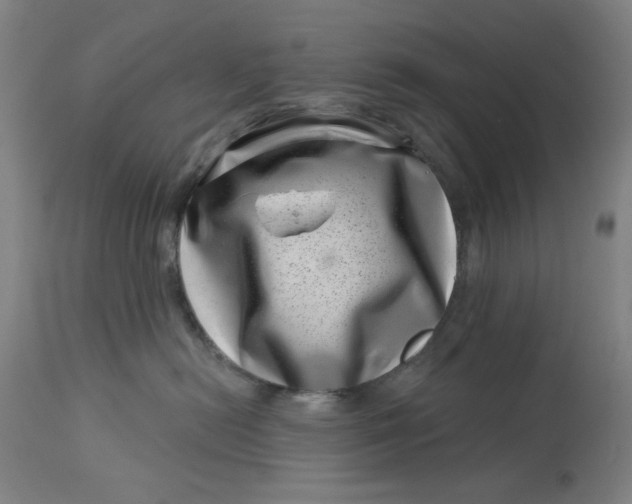 X0000113000478200909171410