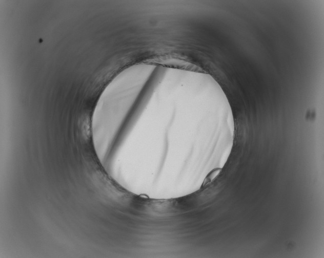 X0000113000479200909171410