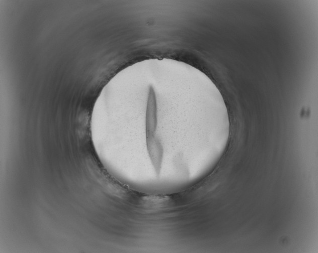 X0000113000480200909171410